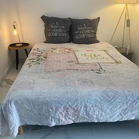 Apartment Le Cosy Elegant Roanne